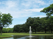 代々木公園