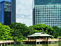 浜離宮恩賜庭園